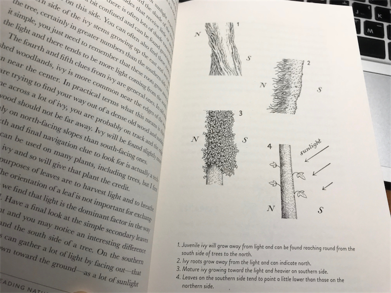 추.천.도.서. - The Lost Art of Reading Nature's Signs